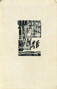 Читайте книги онлайн на Bookidrom.ru! Бесплатные книги в одном клике Михаило Лалич - Облава