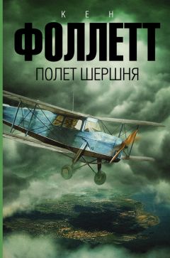 Читайте книги онлайн на Bookidrom.ru! Бесплатные книги в одном клике Кен Фоллетт - Полет шершня