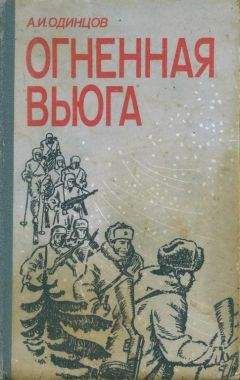 Читайте книги онлайн на Bookidrom.ru! Бесплатные книги в одном клике Александр Одинцов - Огненная вьюга