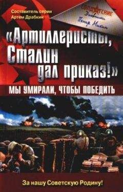 Читайте книги онлайн на Bookidrom.ru! Бесплатные книги в одном клике Петр Михин - «Артиллеристы, Сталин дал приказ!» Мы умирали, чтобы победить