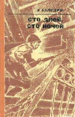 Читайте книги онлайн на Bookidrom.ru! Бесплатные книги в одном клике Анатолий Баяндин - Сто дней, сто ночей