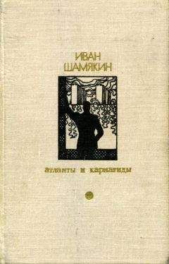 Читайте книги онлайн на Bookidrom.ru! Бесплатные книги в одном клике Иван Шамякин - Торговка и поэт
