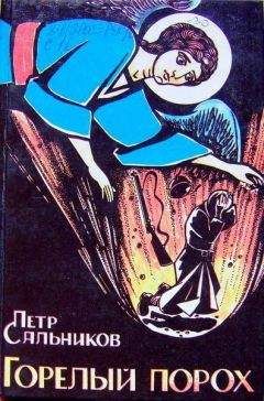 Читайте книги онлайн на Bookidrom.ru! Бесплатные книги в одном клике Петр Сальников - Горелый Порох