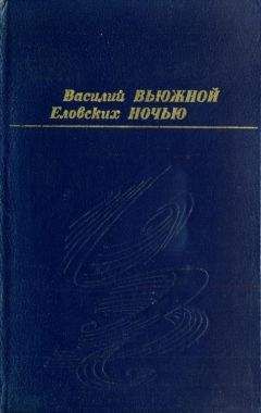 Читайте книги онлайн на Bookidrom.ru! Бесплатные книги в одном клике Василий Еловских - Вьюжной ночью