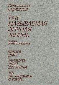 Читайте книги онлайн на Bookidrom.ru! Бесплатные книги в одном клике Константин Симонов - Двадцать дней без войны