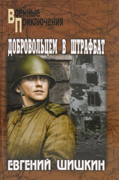 Читайте книги онлайн на Bookidrom.ru! Бесплатные книги в одном клике Евгений Шишкин - Добровольцем в штрафбат