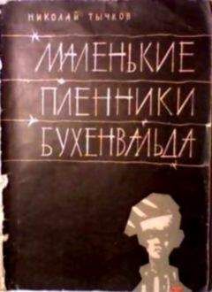 Читайте книги онлайн на Bookidrom.ru! Бесплатные книги в одном клике Николай Тычков - Маленькие пленники Бухенвальда