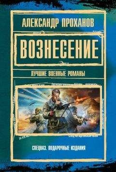Читайте книги онлайн на Bookidrom.ru! Бесплатные книги в одном клике Александр Проханов - Вознесение : лучшие военные романы