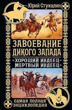 Читайте книги онлайн на Bookidrom.ru! Бесплатные книги в одном клике Юрий Стукалин - Завоевание Дикого Запада. «Хороший индеец – мертвый индеец»