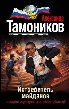 Читайте книги онлайн на Bookidrom.ru! Бесплатные книги в одном клике Александр Тамоников - Истребитель майданов