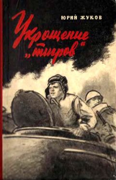 Читайте книги онлайн на Bookidrom.ru! Бесплатные книги в одном клике Юрий Жуков - Укрощение «тигров»