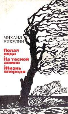 Читайте книги онлайн на Bookidrom.ru! Бесплатные книги в одном клике Михаил Никулин - Полая вода. На тесной земле. Жизнь впереди