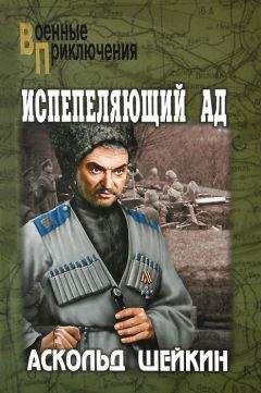 Читайте книги онлайн на Bookidrom.ru! Бесплатные книги в одном клике Аскольд Шейкин - Испепеляющий ад