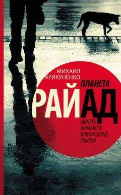 Читайте книги онлайн на Bookidrom.ru! Бесплатные книги в одном клике Михаил Крикуненко - Планета Райад. Минута ненависти или 60 секунд счастья