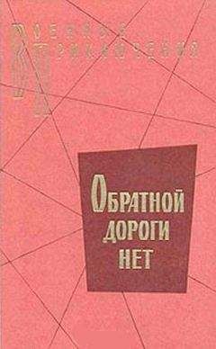 Читайте книги онлайн на Bookidrom.ru! Бесплатные книги в одном клике Владимир Карпов - Обратной дороги нет