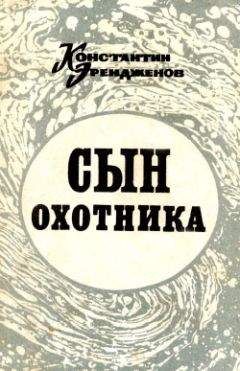 Читайте книги онлайн на Bookidrom.ru! Бесплатные книги в одном клике Константин Эрендженов - Сын охотника