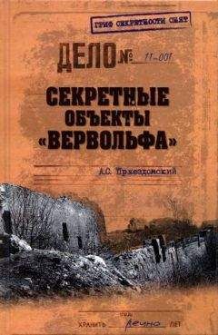 Читайте книги онлайн на Bookidrom.ru! Бесплатные книги в одном клике Андрей Пржездомский - Секретные объекты «Вервольфа»