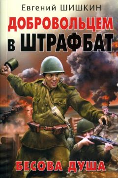 Читайте книги онлайн на Bookidrom.ru! Бесплатные книги в одном клике Евгений Шишкин - Добровольцем в штрафбат. Бесова душа