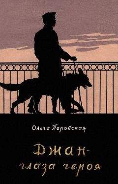 Читайте книги онлайн на Bookidrom.ru! Бесплатные книги в одном клике Ольга Перовская - Джан — глаза героя