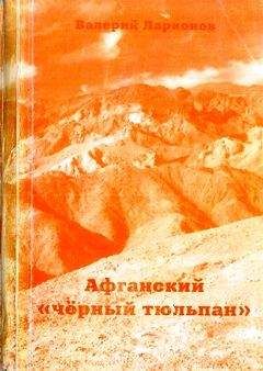 Читайте книги онлайн на Bookidrom.ru! Бесплатные книги в одном клике Валерий Ларионов - Афганский «черный тюльпан»