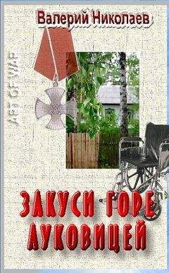 Читайте книги онлайн на Bookidrom.ru! Бесплатные книги в одном клике Валерий Николаев - Закуси горе луковицей