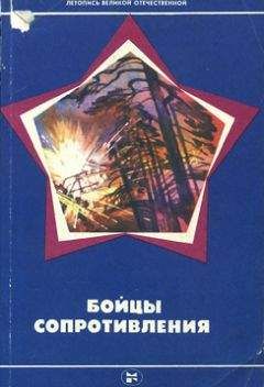 Читайте книги онлайн на Bookidrom.ru! Бесплатные книги в одном клике Николай Пронин - Бойцы Сопротивления