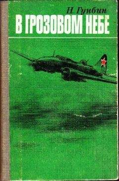 Читайте книги онлайн на Bookidrom.ru! Бесплатные книги в одном клике Николай Гунбин - В грозовом небе