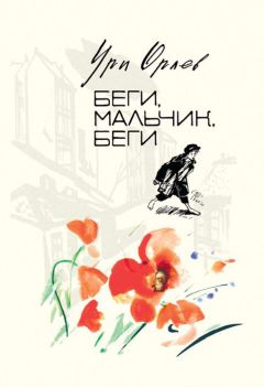 Читайте книги онлайн на Bookidrom.ru! Бесплатные книги в одном клике Ури Орлев - Беги, мальчик, беги