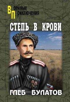 Читайте книги онлайн на Bookidrom.ru! Бесплатные книги в одном клике Глеб Булатов - Степь в крови