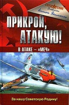 Читайте книги онлайн на Bookidrom.ru! Бесплатные книги в одном клике Антон Якименко - Прикрой, атакую! В атаке — «Меч»