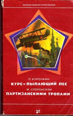 Читайте книги онлайн на Bookidrom.ru! Бесплатные книги в одном клике П. Курочкин - Курс — пылающий лес. Партизанскими тропами