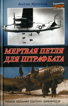 Читайте книги онлайн на Bookidrom.ru! Бесплатные книги в одном клике Антон Кротков - Мертвая петля для штрафбата