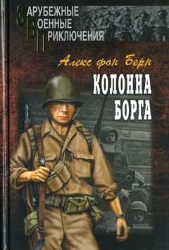 Читайте книги онлайн на Bookidrom.ru! Бесплатные книги в одном клике Алекс фон Берн - Колонна Борга