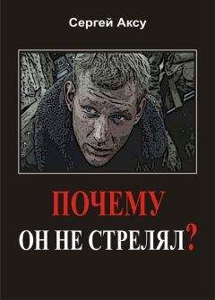 Читайте книги онлайн на Bookidrom.ru! Бесплатные книги в одном клике Сергей Аксу - Почему он не стрелял?