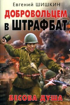 Читайте книги онлайн на Bookidrom.ru! Бесплатные книги в одном клике Евгений Шишкин - Добровольцем в штрафбат. Бесова душа