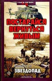 Читайте книги онлайн на Bookidrom.ru! Бесплатные книги в одном клике Николай Прокудин - Звездопад