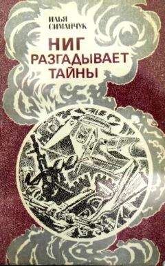 Читайте книги онлайн на Bookidrom.ru! Бесплатные книги в одном клике Илья Симанчук - НИГ разгадывает тайны. Хроника ежедневного риска
