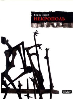 Читайте книги онлайн на Bookidrom.ru! Бесплатные книги в одном клике Борис Пахор - Некрополь