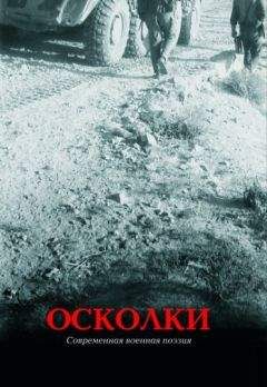 Читайте книги онлайн на Bookidrom.ru! Бесплатные книги в одном клике Глеб Бобров - Осколки