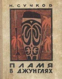 Читайте книги онлайн на Bookidrom.ru! Бесплатные книги в одном клике Николай Сучков - Пламя в джунглях