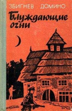 Читайте книги онлайн на Bookidrom.ru! Бесплатные книги в одном клике Збигнев Домино - Блуждающие огни