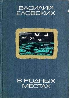 Читайте книги онлайн на Bookidrom.ru! Бесплатные книги в одном клике Василий Еловских - В родных местах