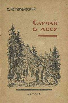 Читайте книги онлайн на Bookidrom.ru! Бесплатные книги в одном клике Сергей Мстиславский - Случай в лесу