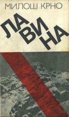 Читайте книги онлайн на Bookidrom.ru! Бесплатные книги в одном клике Милош Крно - Лавина