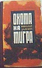 Читайте книги онлайн на Bookidrom.ru! Бесплатные книги в одном клике Николай Далекий - Танки на мосту!