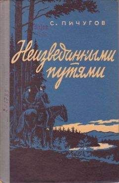 Читайте книги онлайн на Bookidrom.ru! Бесплатные книги в одном клике Степан Пичугов - Неизведанными путями
