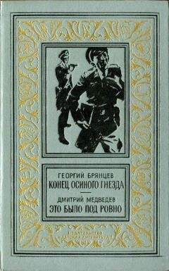 Читайте книги онлайн на Bookidrom.ru! Бесплатные книги в одном клике Георгий Брянцев - Конец осиного гнезда. Это было под Ровно