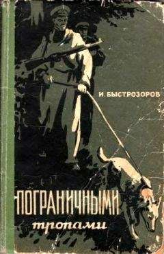 Читайте книги онлайн на Bookidrom.ru! Бесплатные книги в одном клике Игорь Быстрозоров - Пограничными тропами
