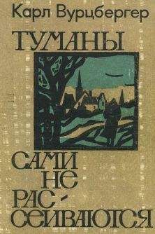 Читайте книги онлайн на Bookidrom.ru! Бесплатные книги в одном клике Карл Вурцбергер - Туманы сами не рассеиваются
