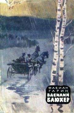 Читайте книги онлайн на Bookidrom.ru! Бесплатные книги в одном клике Фабиан Гарин - Василий Блюхер. Книга 1